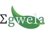 Egwela Shop