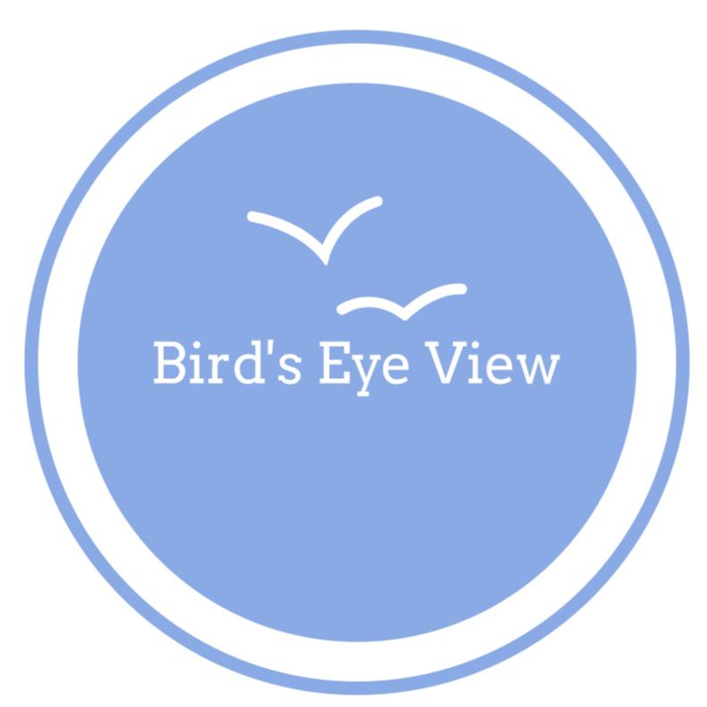 Bird&#039;s Eye View