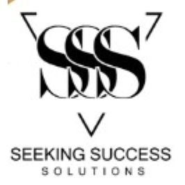 Seeking Success Solutions