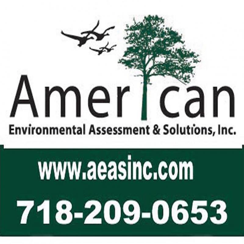 American Environmental Assessment &amp; Solutions, Inc.