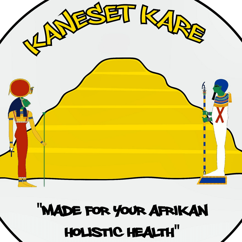 Kaneset Kare LLC