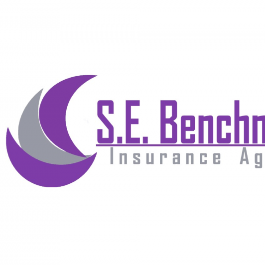 S E Benchmark Agency